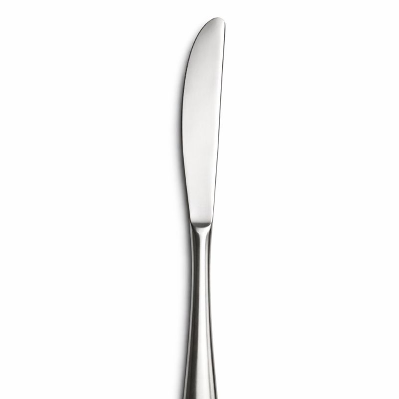 Coltello Acciaio stelo piatto